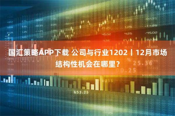 国汇策略APP下载 公司与行业1202丨12月市场结构性机会在哪里？